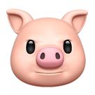 송윤지 test3 선생님 프로필 이미지