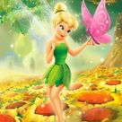 38142악어 선생님 프로필 이미지