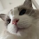 김종혁 선생님 프로필 이미지