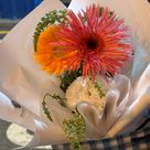 뿡뿡이 선생님 프로필 이미지